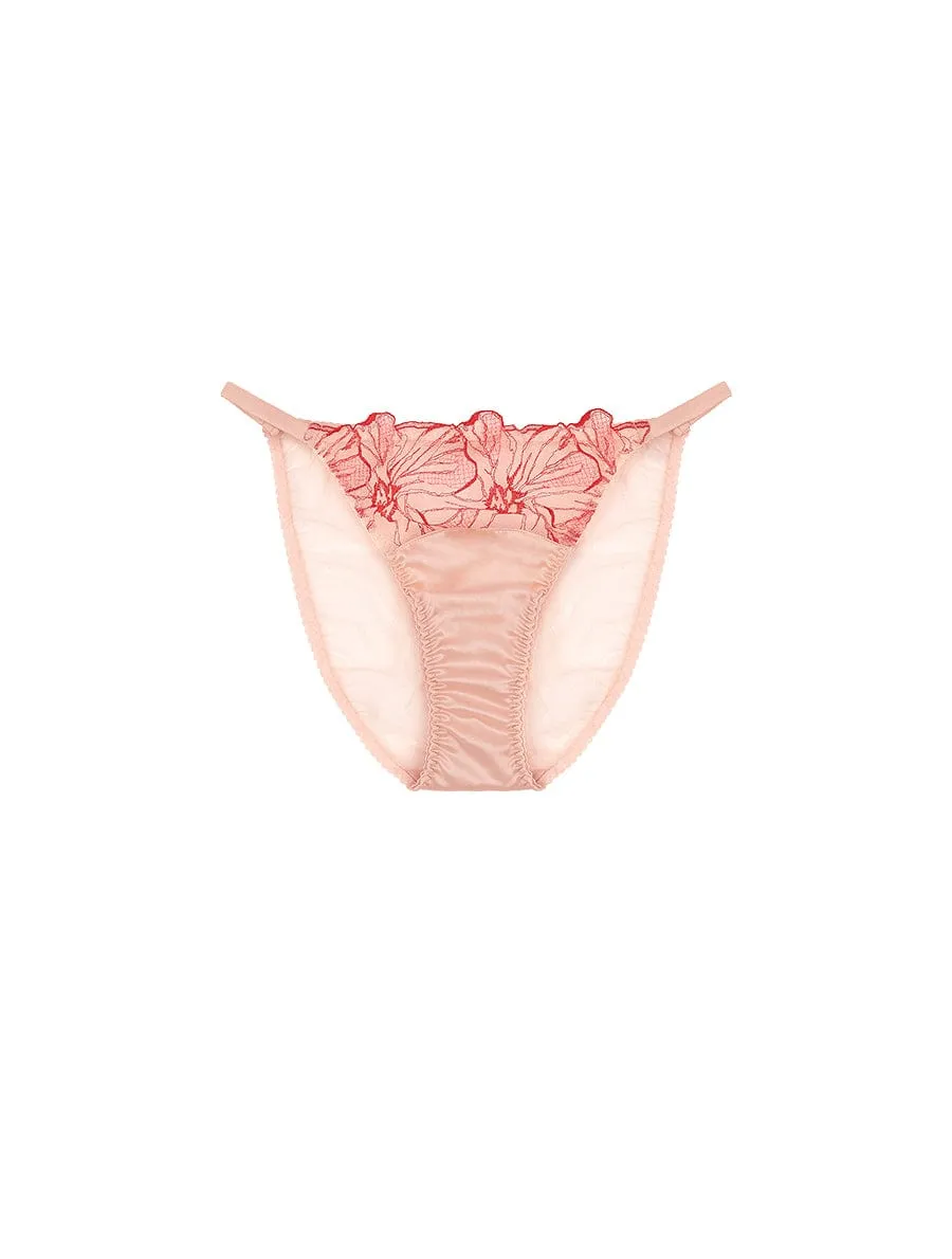 Rosa Brief