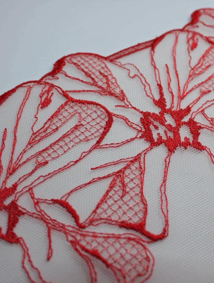 Rosa Brief
