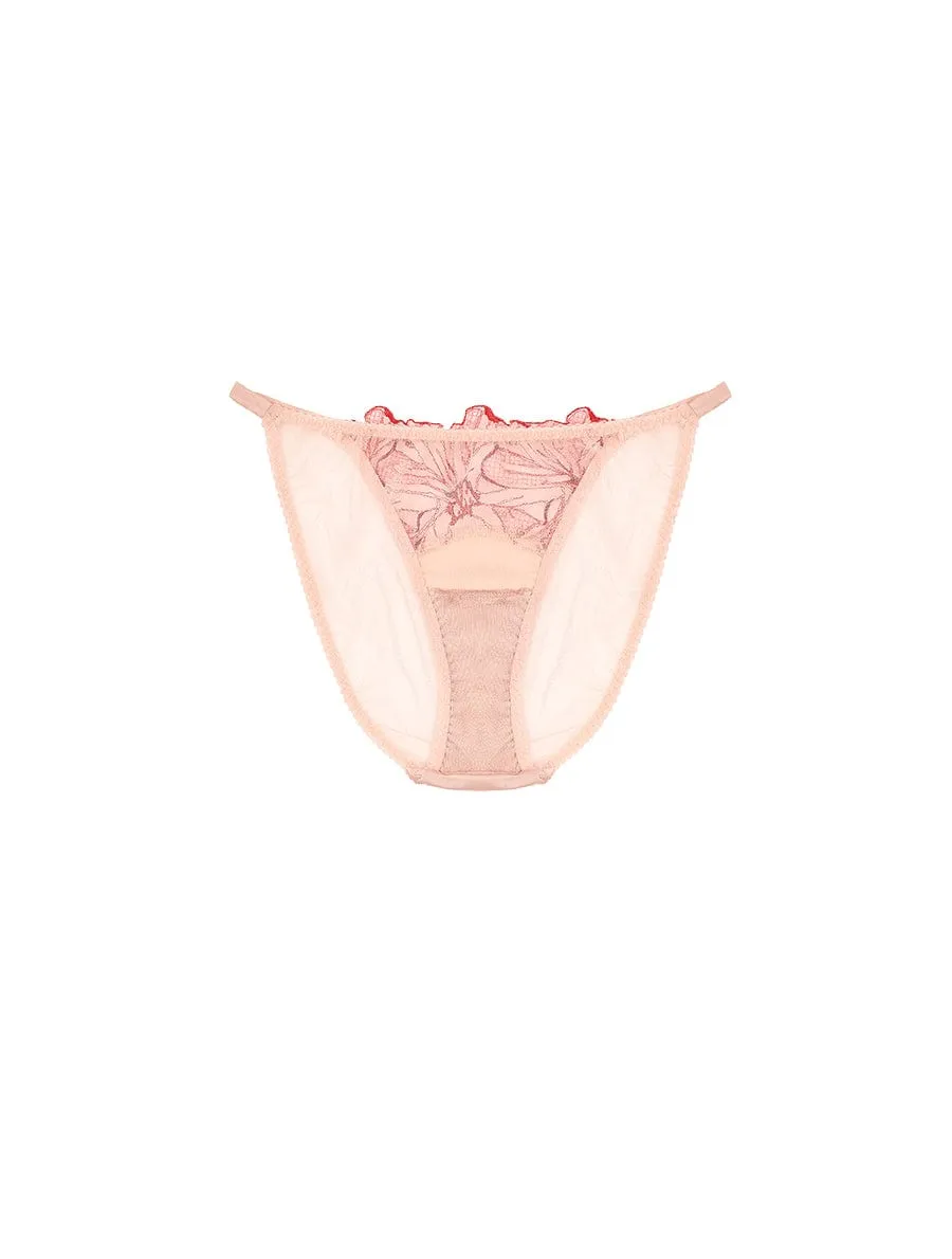 Rosa Brief